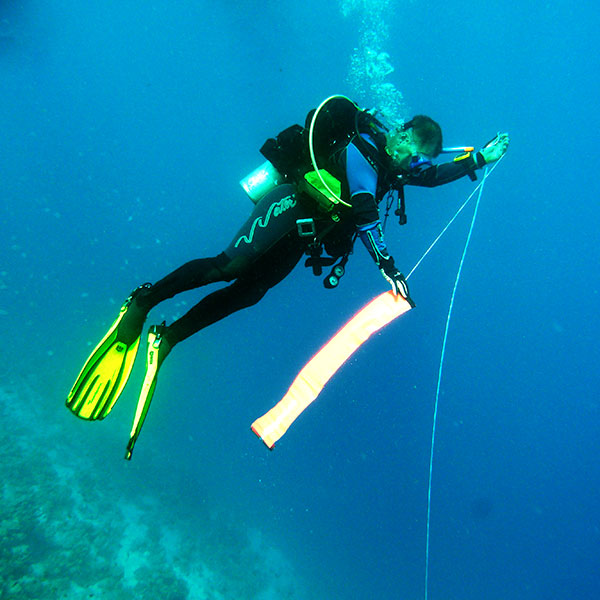 Курс SSI Dive Guide