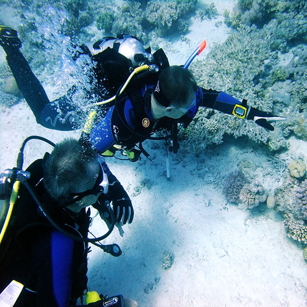 Курс SSI Dive Guide