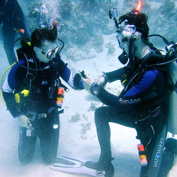 Курс PADI Divemaster