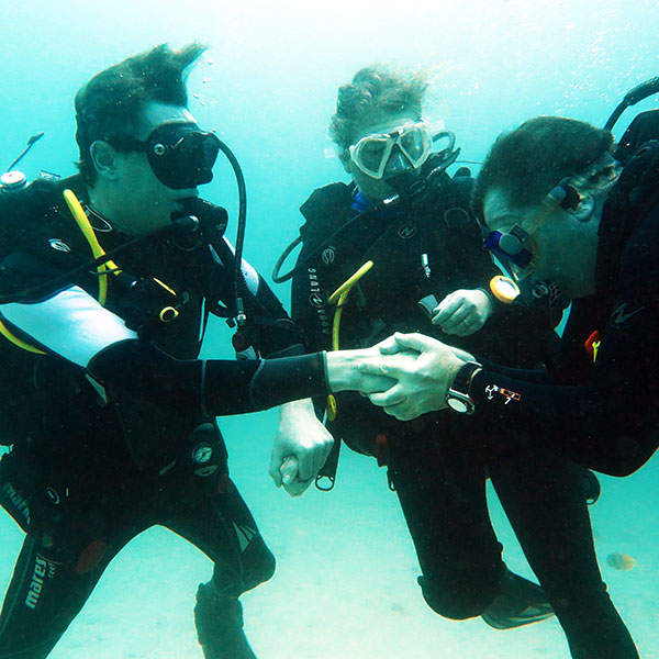 Курс PADI Divemaster