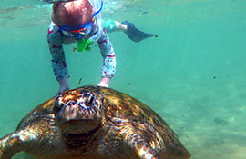 SSI Snorkel Explorers Занятия дайвингом для детей