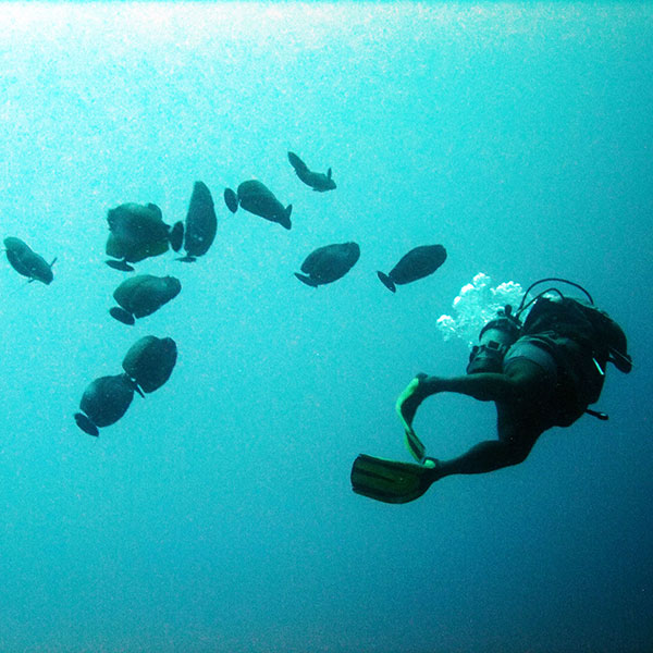 Курс глубоких погружений SSI Deep Diver