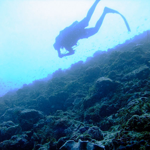 Курс глубоких погружений SSI Deep Diver